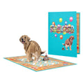 Creative Funny Golden Hair Greeting Card 3D Holiday Blessing Birthday Pop up Card with Envelope