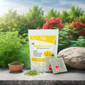 Chinaherbs 100% Organic Dried Mullein Leaf Extract Natural Lung Support and Cleansing Health Tea for Smokers Certified