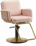 Pink Beauty Salon Chairs Hairdresser Styling Chair with Golden Chrome Base