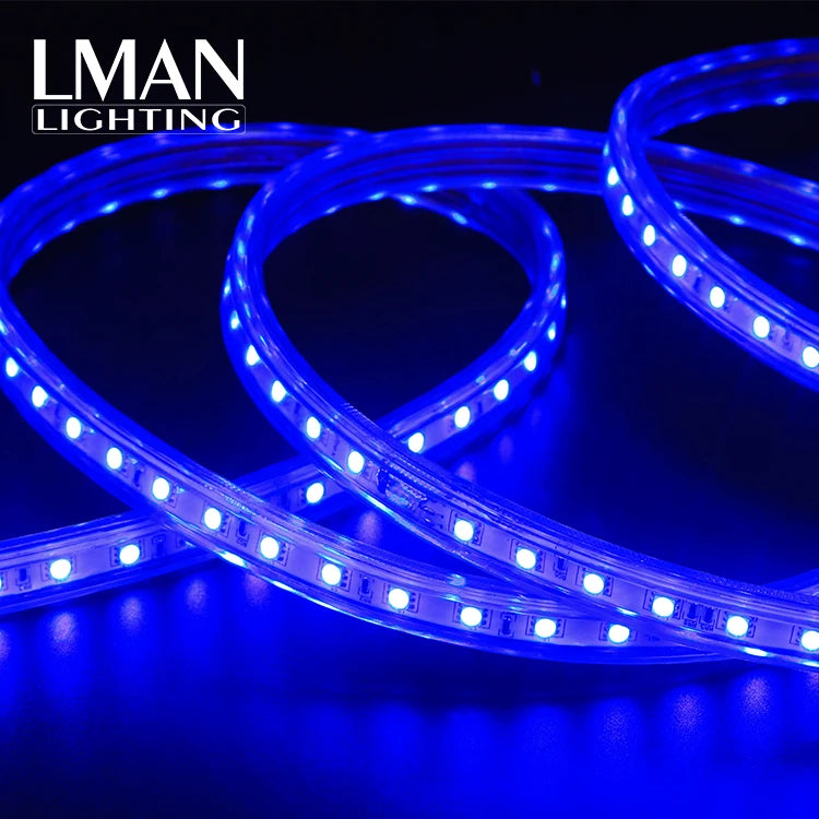 High Quality Addressable Flex SMD 5050 60leds/m 10mm Width DC 12V 24V 10W RGB Led Strip Light
