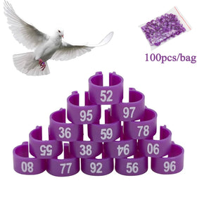 Multicolor 8*10mm Identification Ring Custom Bird Ring for Parrot Pigeon Leg 100pcs Plastic Training Foot Ring