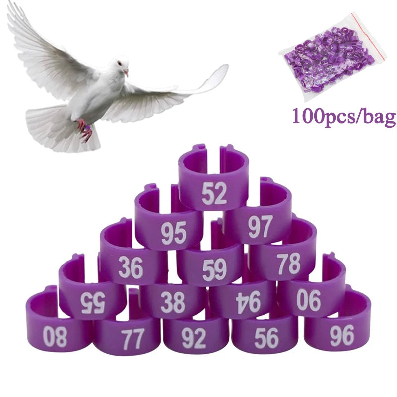 Multicolor 8*10mm Identification Ring Custom Bird Ring for Parrot Pigeon Leg 100pcs Plastic Training Foot Ring