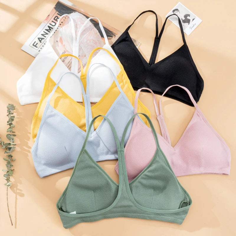 Reliable Women Sports Seamless Wholesale Yoga Sports Bra for Women Sportswear Everyday Bra