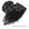 Brazilian Remy Kinky Curly Hair Clip in Human Hair Extensions Natural Color 8 Pieces/Set Full Head Remy Hair Extension Clip