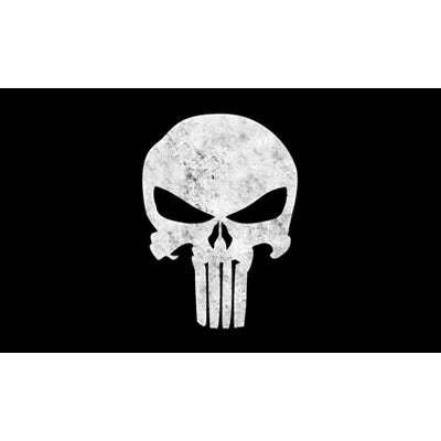 Ready Stock 100% Polyester Flying Style Double Sided Punisher Skull Flag