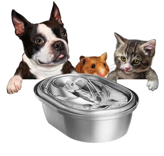 Wholesale Custom 67oz/2L Pet Water Fountain with Adjustable Water Flow OEM/ODM Available Pet Products