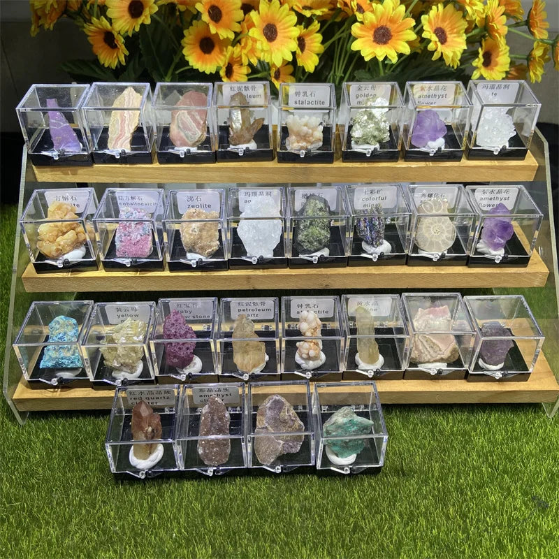 Wholesale Natural Mineral Crystals Rough Stone Raw Stone Mineral Specimen Box for Gifts