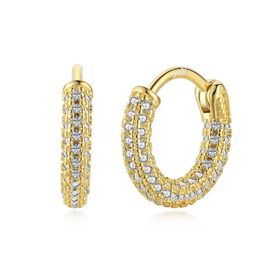 Daidan Fashion Earrings Micro Pave Earrings Gold Plated Big Fashion Cubic Zirconia Hoops Sterling Silver 925 Earrings