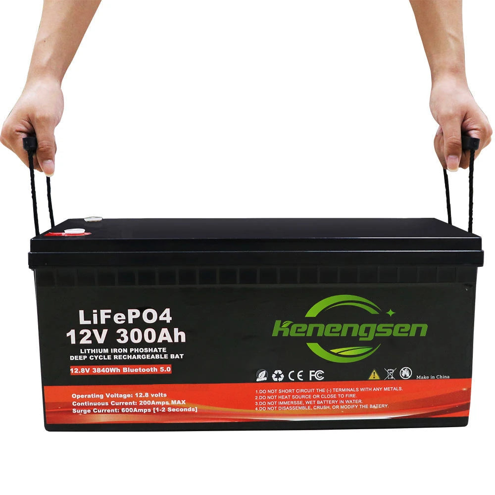 Lithium Ion Solar Battery Storage Systems 12V 24V 48V 100Ah 200Ah 300Ah 400Ah Lifepo4 Battery With BMS MegaBDM