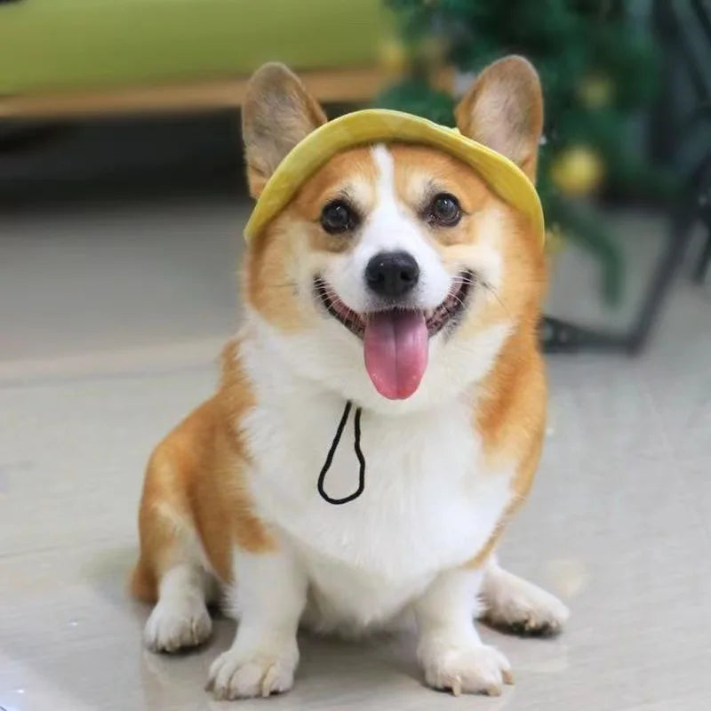 Adjustable Corduroy Bucket Hat with Ear Holes Cute Pet Inspired Summer Sports Sunscreen Cap for Outdoor Fun in Winter