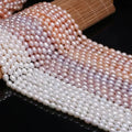 Cross-Border Wholesale Natural Freshwater Baroque A-level Pearl Double-Sided Light Hole Bracelet DIY Jewelry Accessories