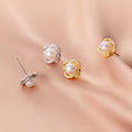 925 Sterling Silver Natural Freshwater Pearl Earings Gold Plated Zircon Ear Studs Earrings Fashion Jewelry for Women