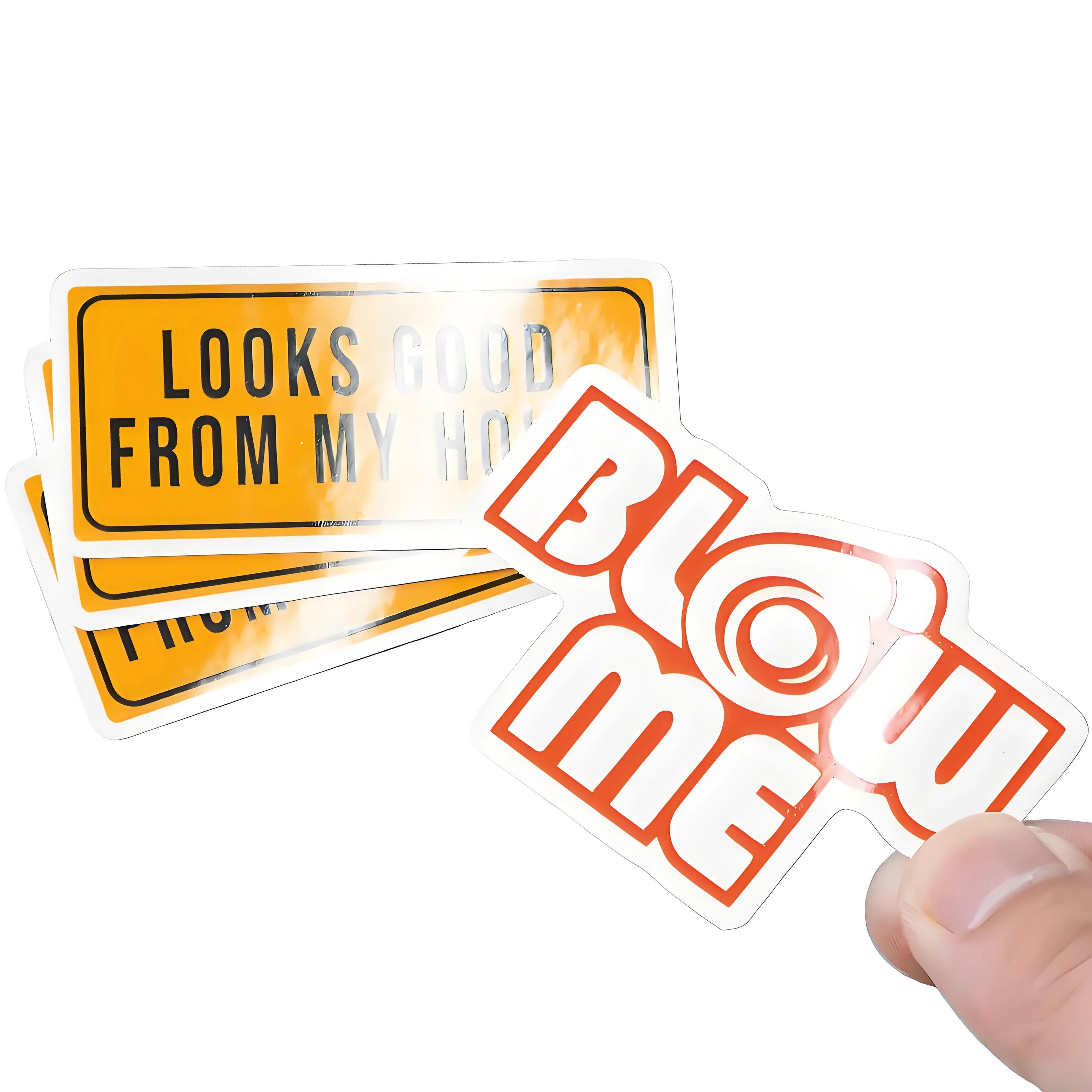 Wholesale Custom Sticker Sheets - OEM Logo Labels Printing for Packaging/Decoration (Vinyl/3D/Hologram Options)