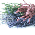 SZ04130 China Supply Dried Flowers Natural Preserved Lavender Handmade pink Purple Lavender for Home Hotel Decoration