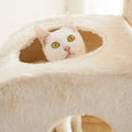 Modern Large Cat Climbing Rack Yu Pet Multi-Layer Wood Jumping Platform Cheese Hole Cat Nest Carton Packed Cat Trees Scratcher