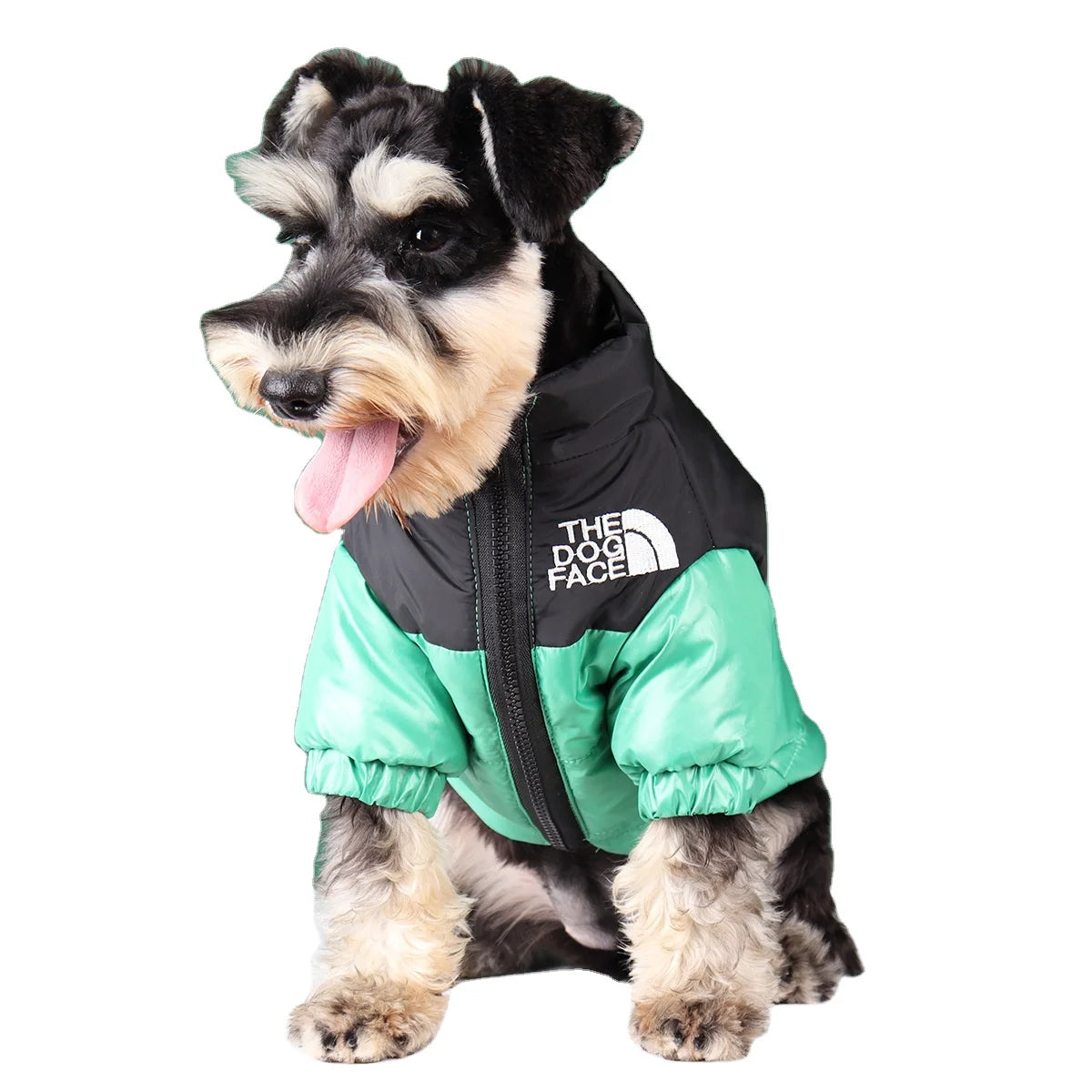QUCHONPET Pet 2025 Wholesale the Dog Face Fashions High Brand Winter Coats Jacket Pet Apparel Designers Luxury Dog Clothes