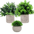 Factory Direct Supply Cheap Price Home Office Desktop Mini Small Decorative Faux Artificial Green Plants in Pot Fake Green Plant