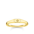 2021 New Arrival Minimalist Jewelry Trending 18k Gold Plated Star Men Signet Ring