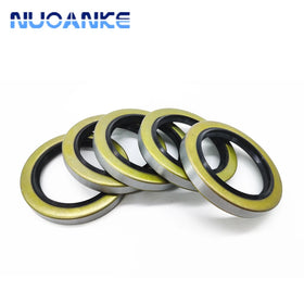 China Manufacture Oilseal TB TB2 Type Rubber Lip Rotary Shaft Metal Case Oil Seal TB Oil Seal