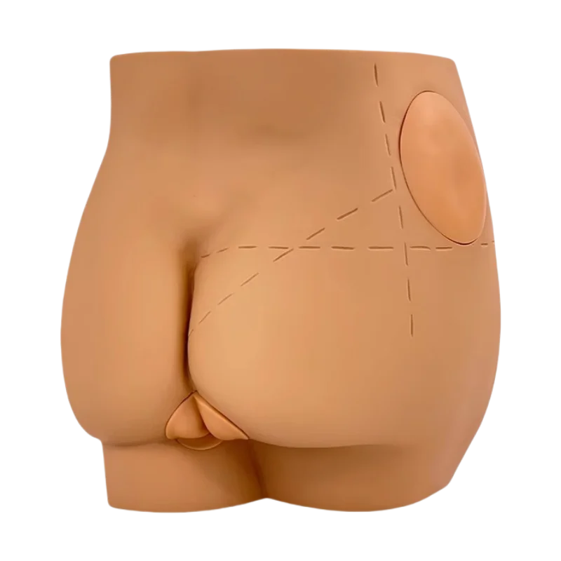 Medical Teaching Educational Equipment Hip Buttock Injection Model