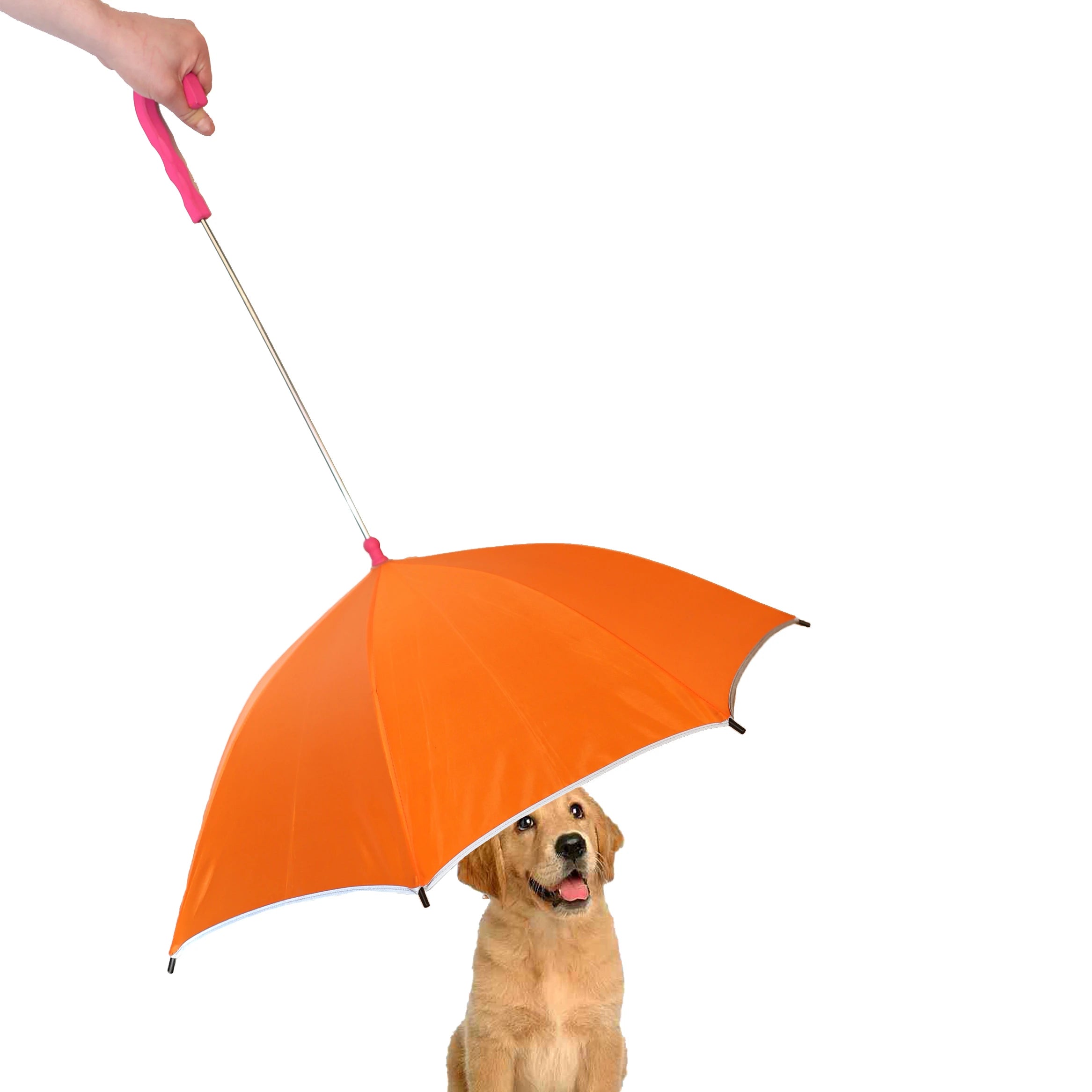 Dogs Umbrella Leash Dog Pet Umbrella Pet Dog Umbrella Pet