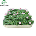 Huizhou Green Giant Modular Metal Raised Garden Bed 8 Inch Tall 12N1 for the Garden