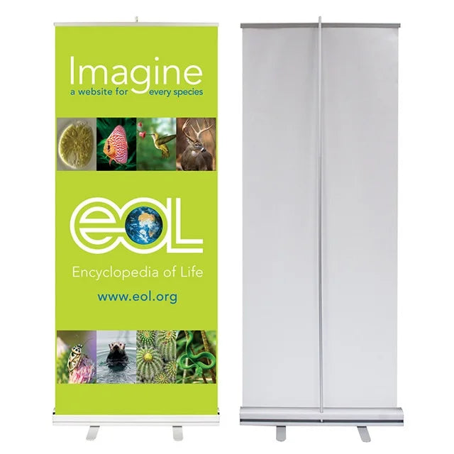 Custom Design Roll up Banner with Steel Feet Printed Display Exhibition Show Standard Retractable Rollup Banner Stand