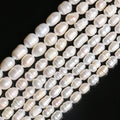Natural Rice-Shape White Freshwater Pearl Loose Beads for DIY Bracelet & Necklace Jewelry