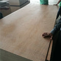 4*8ft Bintangor Plywood Eucalyptus Core Laminated 18mm Plywood Contemporary Office Building Birch Online Technical Support