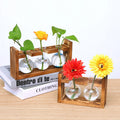 Vintage Two Bulbs Vintage Home Decor Gift Ornaments Frame Hydroponic Flower Vase Glass & Crystal Vases Living Room Table Wooden