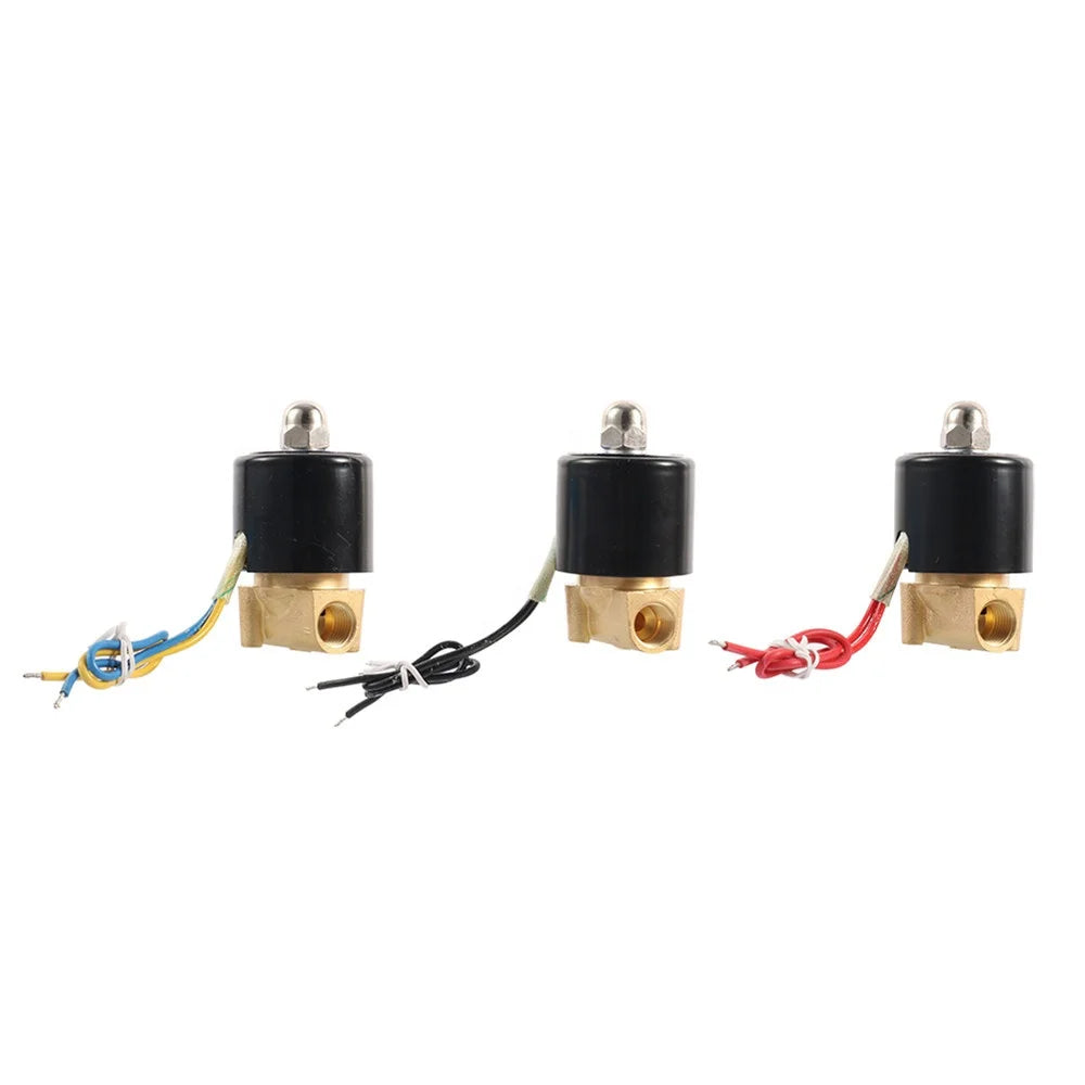 2W Normally Closed Brass Electric 12V 24V 220V 1 2 3 Inch Solenoid Valve Magnetic Water Solenoid Valve