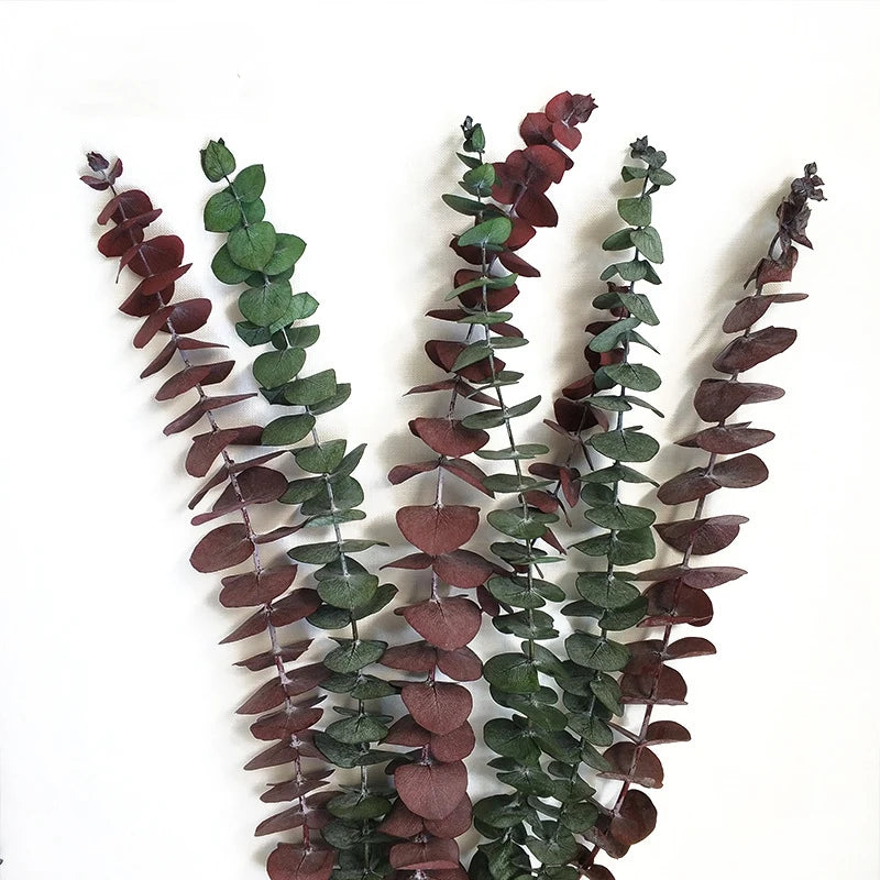 Yunnan Spring Supply Preserved Flowers Eucalyptus Leaves for Home Decoration