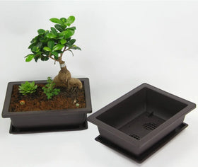 16.4*12.1*5.9cm Rectangle Bonsai Flower Pots Succulent Planter Flower Pot Garden Planter Flower Pot