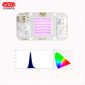 220V 50W High Power UV Purple LED 395nm Ultraviolet Bulbs Lamp Chips Light Beads Diode LED Phosphor Lighting for Printer Curing