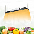 Meanwell Driver Europe Russia Warehouse 240w Led Commercial Grow Light Foldable Lm282b Full Spectrum Lm301h Led Grow Light