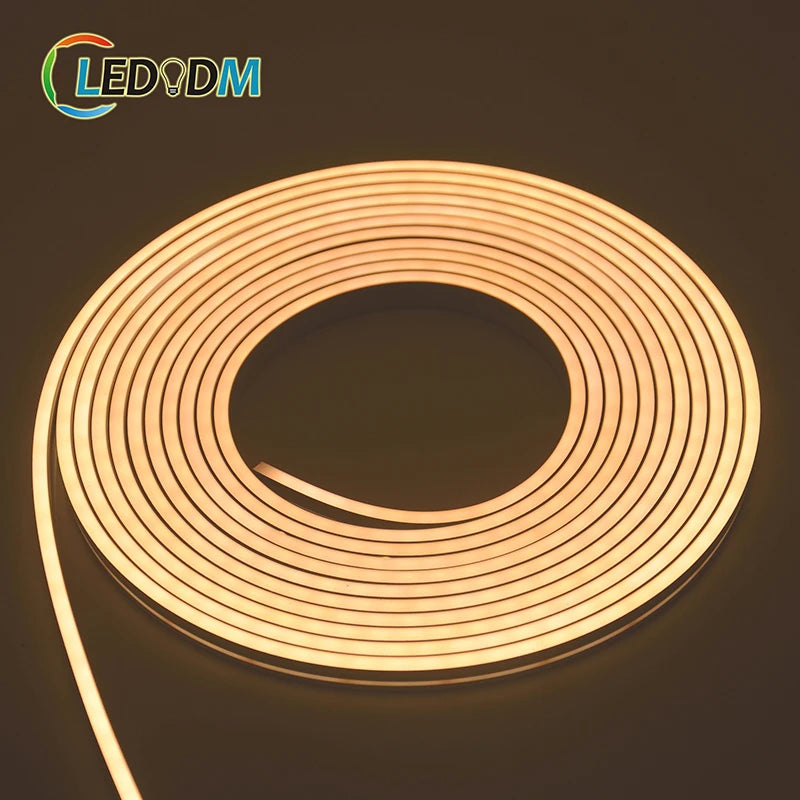 ultra Thin 4mm 6mm Flex Neon Light 12V 24v Silicone Neon Led Strip  Warm White Red Green Blue RGB Silicone Flex Neon Light