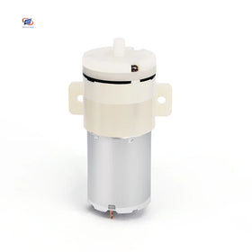 Hot Selling Portable Dc Micro Air Pump for Hydrogen and Oxygen Small Bubbles