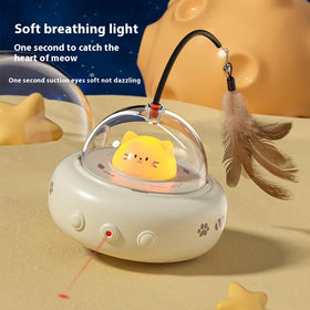 Hot-selling Wear-resistant and Scratch-resistant Luminous and Educational Cat Toys