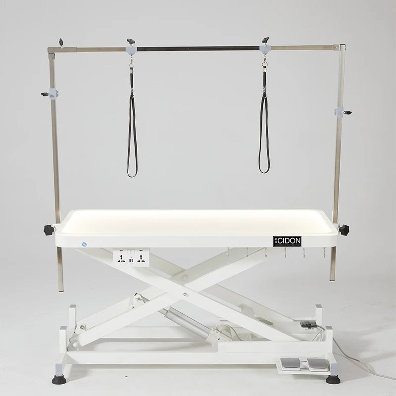 Custom Adjustable Electric Lifting  Trimming Table Led Light Waterproof Pet Grooming Table Dog Cat Hair Dryer Modeling Grooming