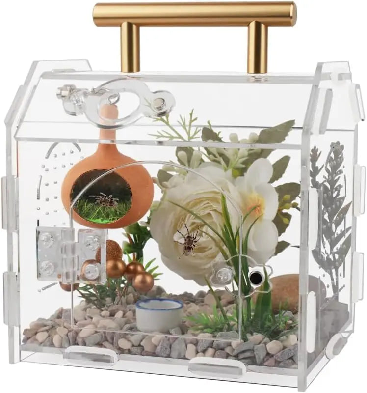 Premium All-Round Transparent Acrylic Jumping Spider Enclosure Easy Assembly Terrarium Tarantulas Reptiles Insects Display Racks