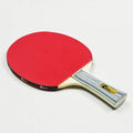 Table Tennis Sets Custom Table Tennis Rackets Two Paddle Ping Pong Bats
