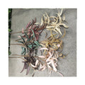 Manufacturer Price Outdoor Screen Printing Tape Phoenix-Dance Willow Artificial Plant Premium Quality Greenery