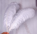 White Ostrich Hair 15-80 cm Stage Large Feather Decoration Wedding Ostrich Feather Manufacturers