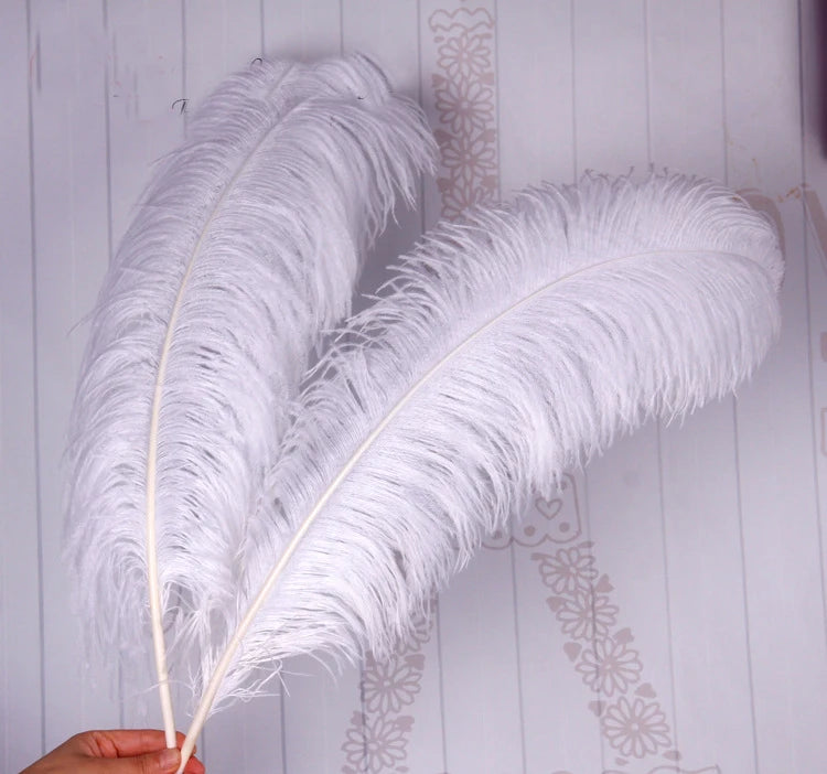 White Ostrich Hair 15-80 cm Stage Large Feather Decoration Wedding Ostrich Feather Manufacturers