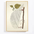 Herbs Plant Flower Canvas Painting Nordic Poster Botanical Art Print Home Decor Oil Painting on Canvas Posters and Prints Art Pi