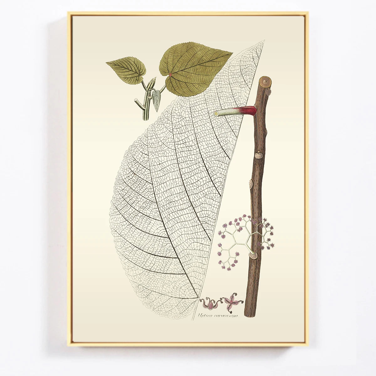 Herbs Plant Flower Canvas Painting Nordic Poster Botanical Art Print Home Decor Oil Painting on Canvas Posters and Prints Art Pi