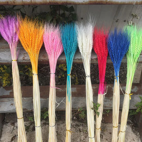 Y-1121 Nature Dried Wheat Grass for Home Bussniss Decoration