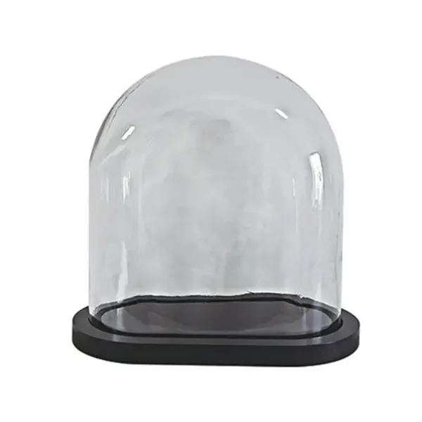 Big Oval Glass Dome with MDF Wooden Base