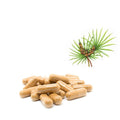 Factory OEM Prostate Health Supports Saw Palmetto Supplement Saw Palmetto Extract Capsules