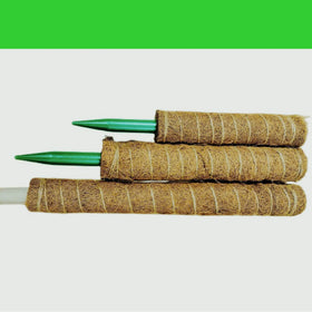 Cheapest Removable Model Coir Moss Totem Pole Coco Moss Stick Moss Pole for Creepers Plant Support Extension to Grow Upwards